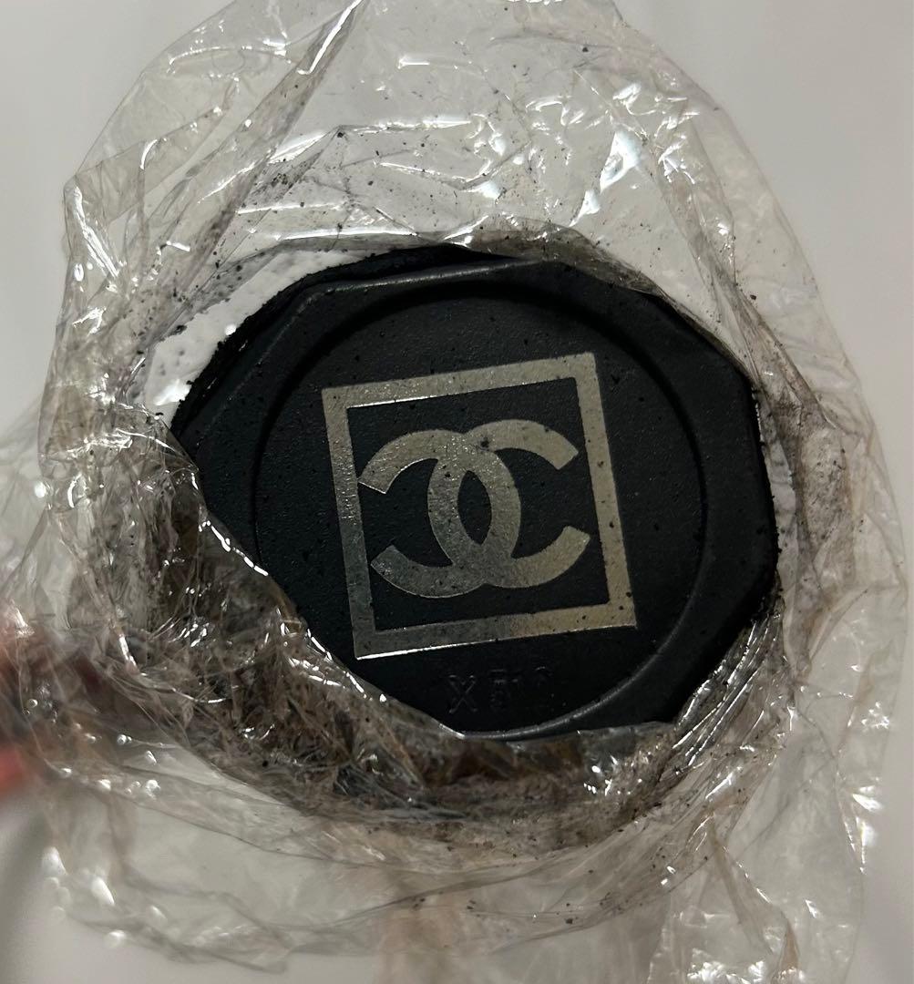 希少美品 CHANEL シャネル テニスラケット ボール セット ココマーク
