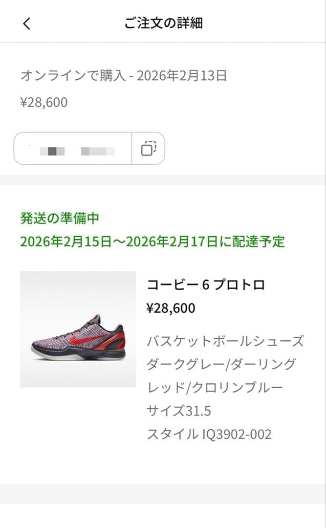 シューズ(男性用) Nike Kobe 6 Protro 3D 31.5cm