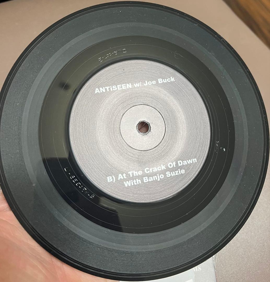 Zeke / Antiseen split ep オリジナル　レコード　入手困難