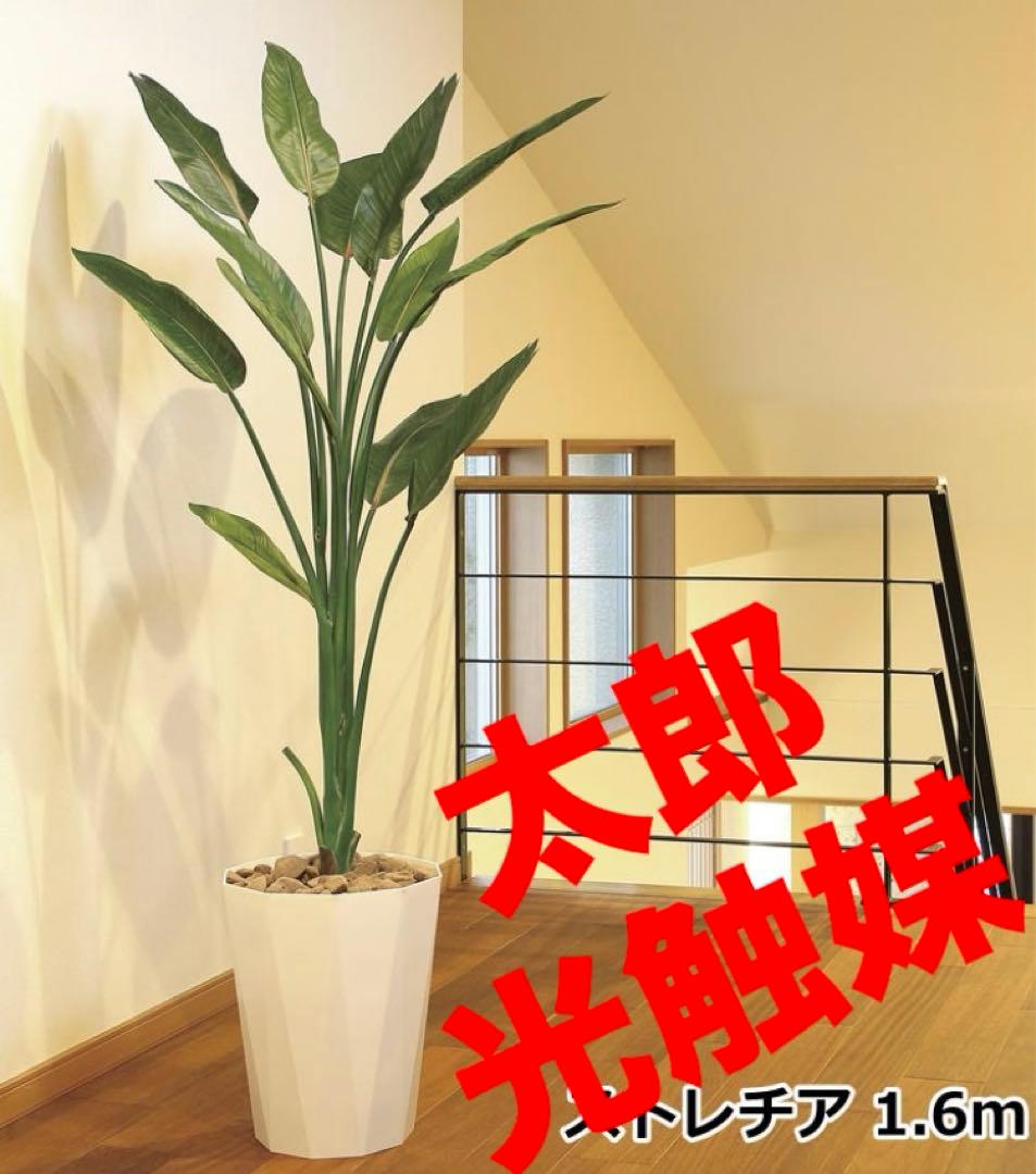 光触媒　人工観葉植物　ウォールグリーン　フェイクグリーン　ストレチア1.6m 光触媒 人工観葉植物 ウォールグリーン フェイクグリーン ストレリチア