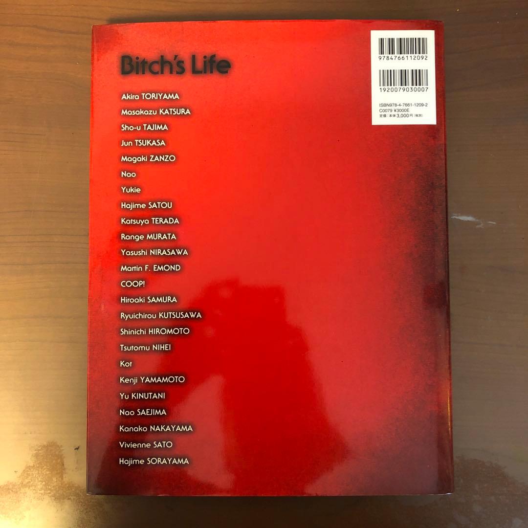 ビッチズ・ライフ : イラストレーションファイル - メルカリ