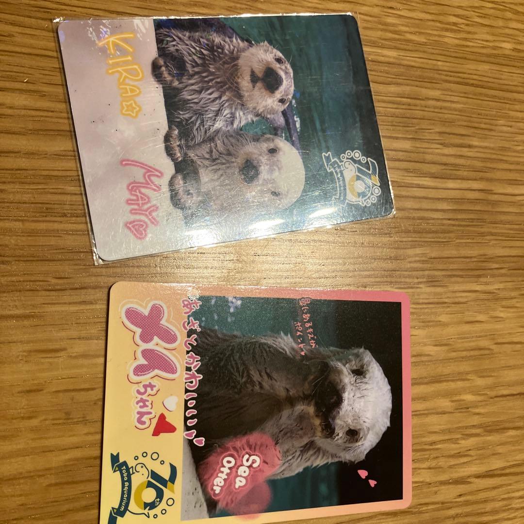 鳥羽水族館コレクションカード2枚 TOBA AQUARIUMコレクションカードvol.2」 コンプリートBOX抽選