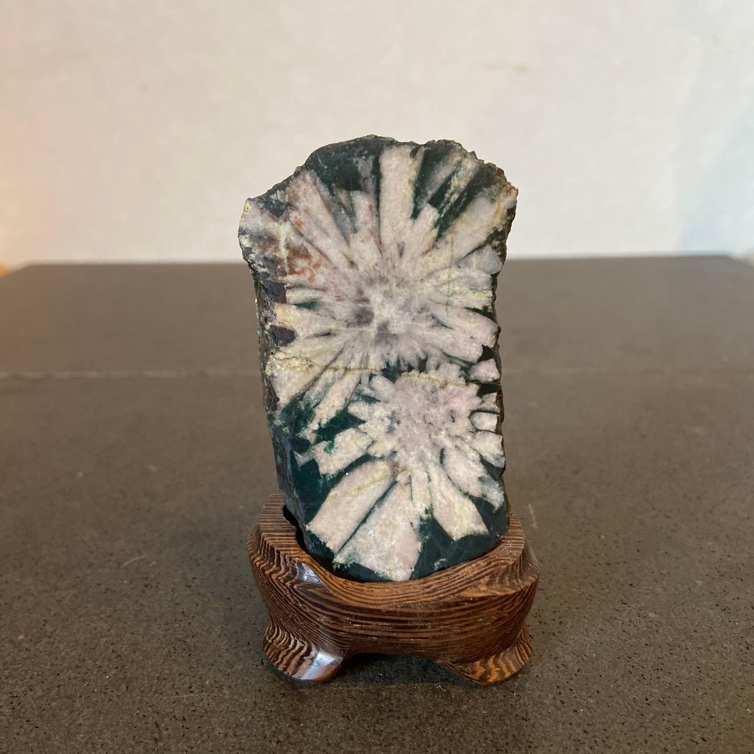 菊花石 ☆ 鑑賞石 菊花石 水石 - メルカリ