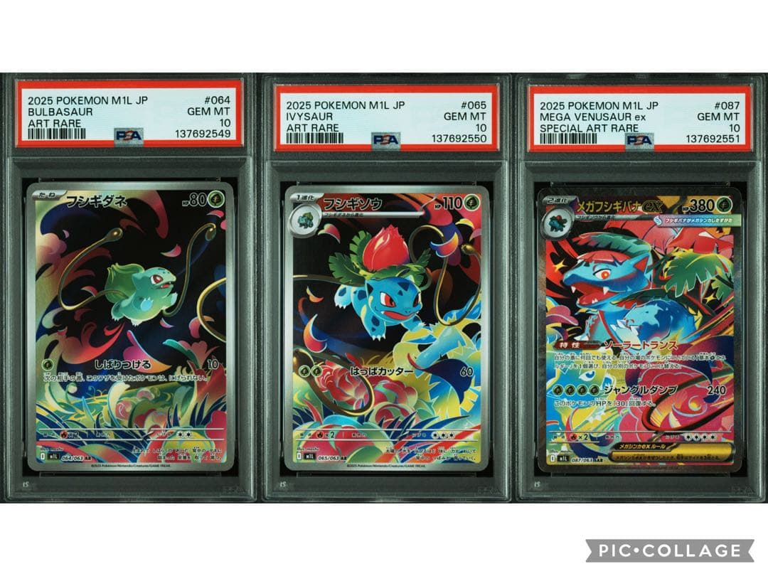 PSA10】3連番！ フシギダネ フシギソウ メガフシギバナex - メルカリ