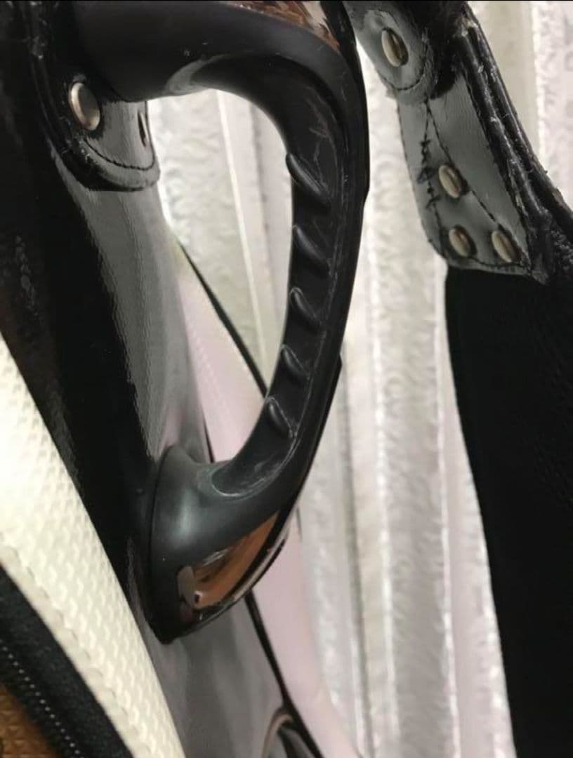 ☆希少・限定☆プロV1記念モデル☆ タイトリスト キャディバッグ CB5V1