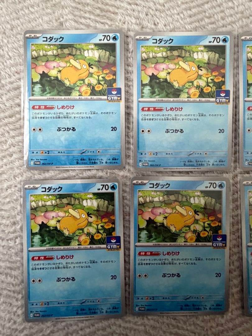 コダック ジムプロモ しめりけコダック コダック【プロモ】262/SV-P