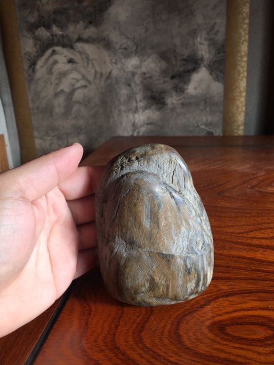 木化石 木化石(もくかせき) を販売｜盆栽妙 – 盆栽妙 本店