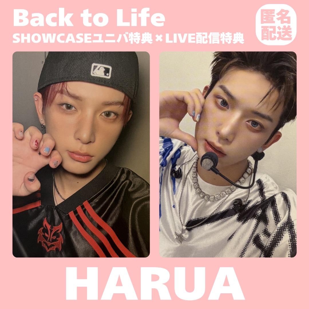 &TEAM HARUA Back to Life ショーケース 配信特典 トレカ - メルカリ