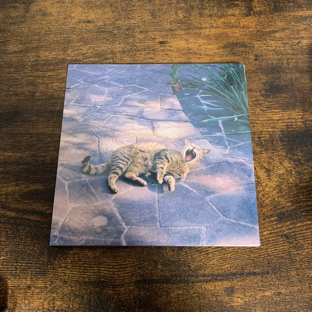 the奥歯's - 風になれたら - メルカリ