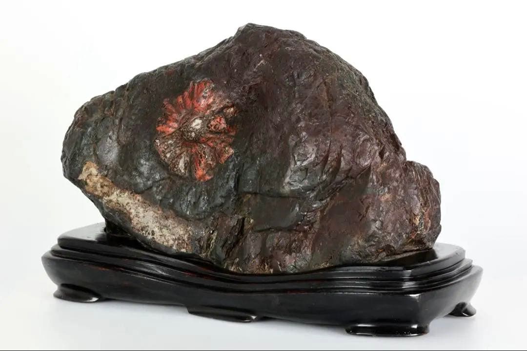 天然菊花石 大輪 赤花 台座付 19.8kg 鑑賞石 原石 水石 紋石 美石