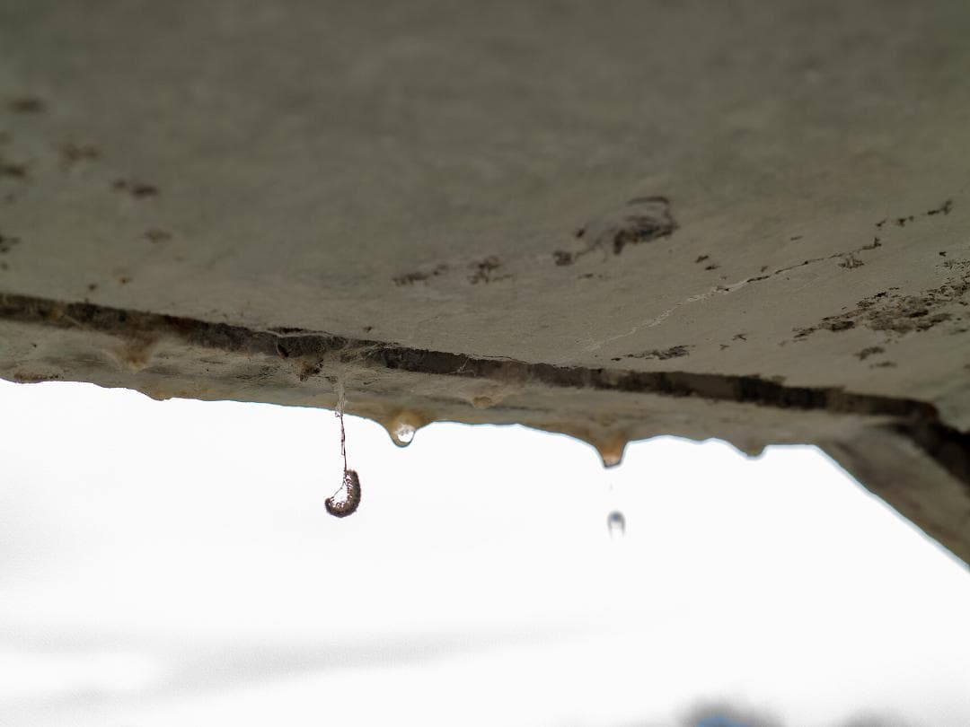 レンズ(単焦点) LEICA DG NOCTICRON 42.5mm F1.2 H-NS043