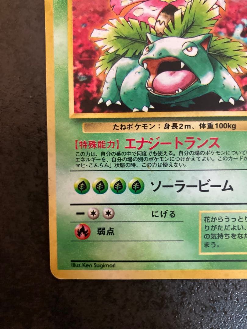 旧裏】フシギバナ イントロパック - メルカリ