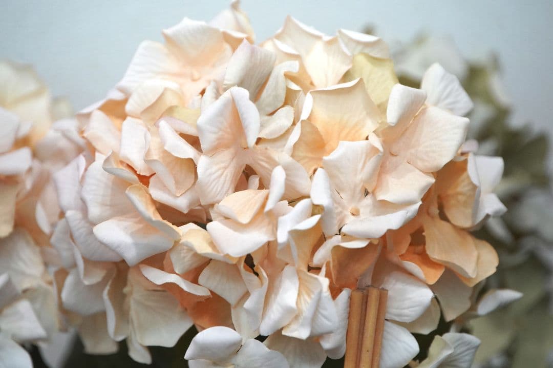 ✨実用品✨SIGMA 135-400mm F4.5-5.6 APO D