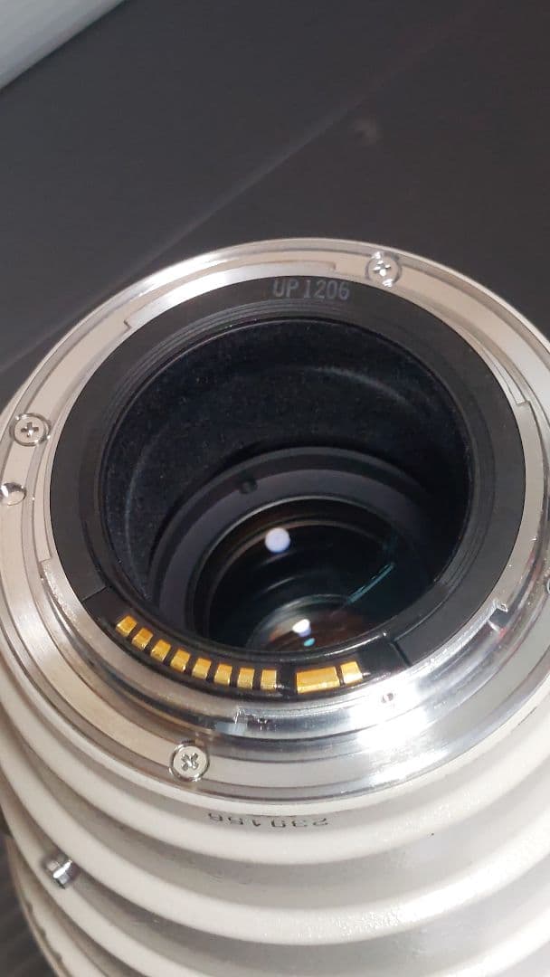 レンズ(ズーム) CANON EF 100-400mm F4.5-5.6 L IS USM