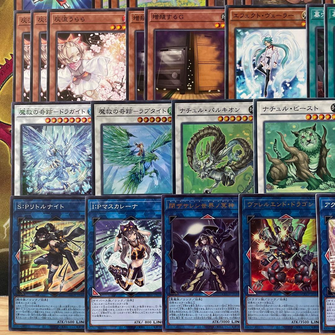 優勝構築 春化精アダマシアデッキ 魔救の捜索者 御影志士 丘と芽吹の春化精