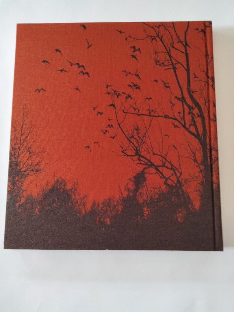 希少 ファーストエディション Vanessa winship 写真集