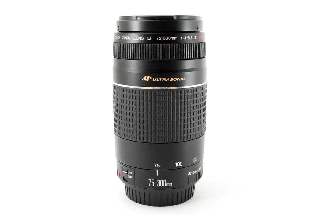 イベント運動会⭐︎迫力300㎜⭐︎スポーツ⭐︎Canon EF75-300 USM