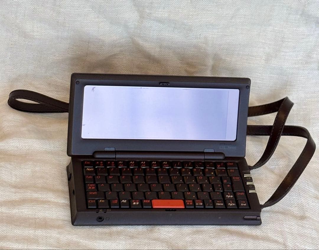 お値下げ✨ルイ・ヴィトン CELUX ダミエ クラヴィエPC レア品 - メルカリ