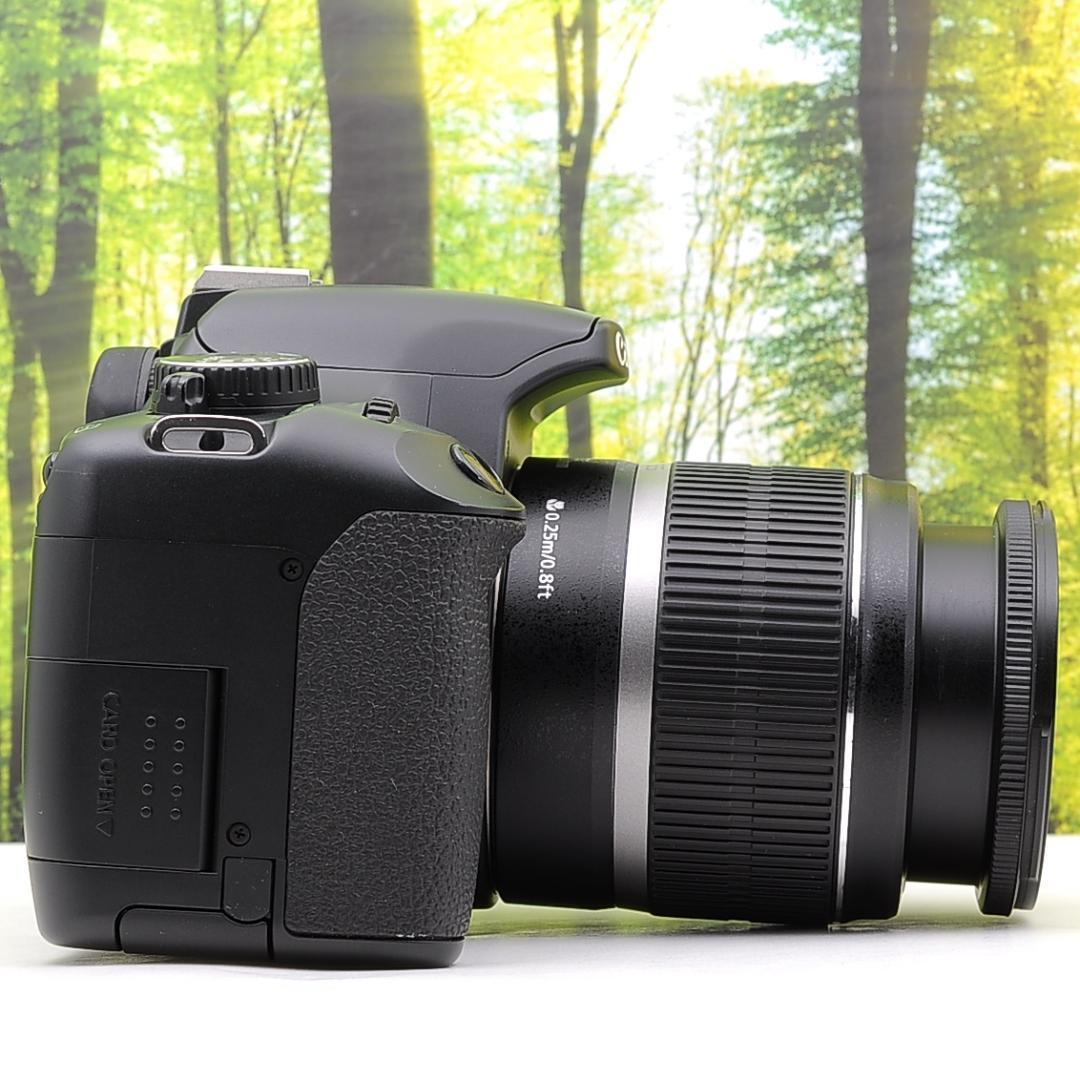 ショット数434枚！スマホ転送セット☆Canon Kiss X2 Wレンズセット