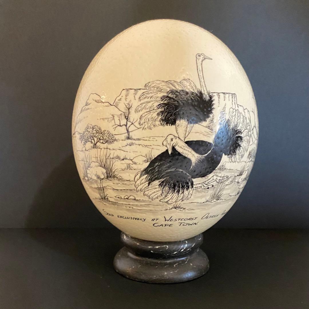 新品】 ダチョウの卵 置き物 アフリカ オブジェ レア - メルカリ