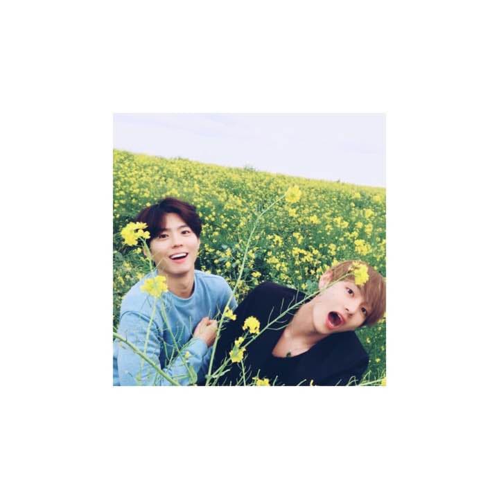 コメント専用ページ Google Workspace Labsを先行体験！機能と実際に使ってみた感想を紹介