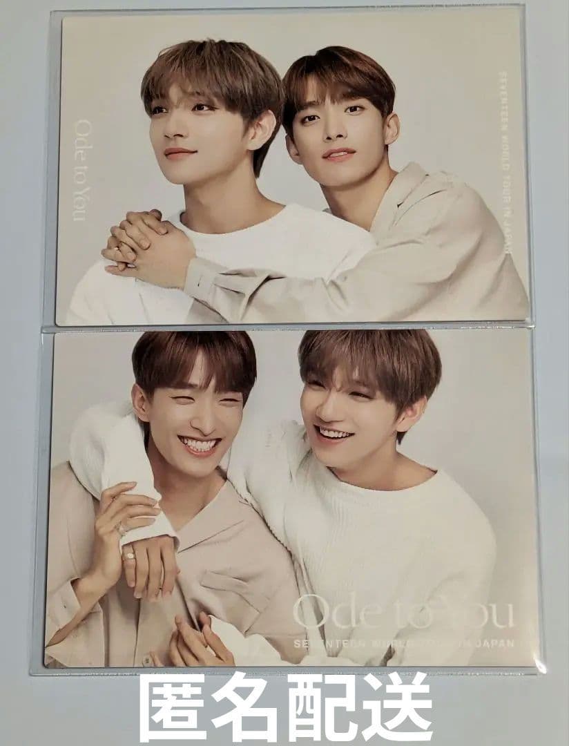 SEVENTEEN Ode to You ペアトレカ ジョシュア ドギョム - メルカリ