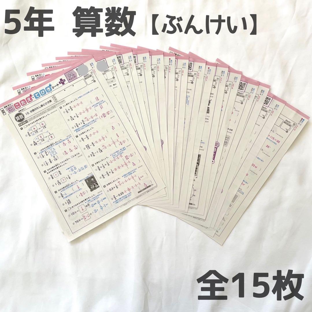 小5 カラーテスト答え 算数 原本 2023年度 まとめ 15枚セット ぶんけい