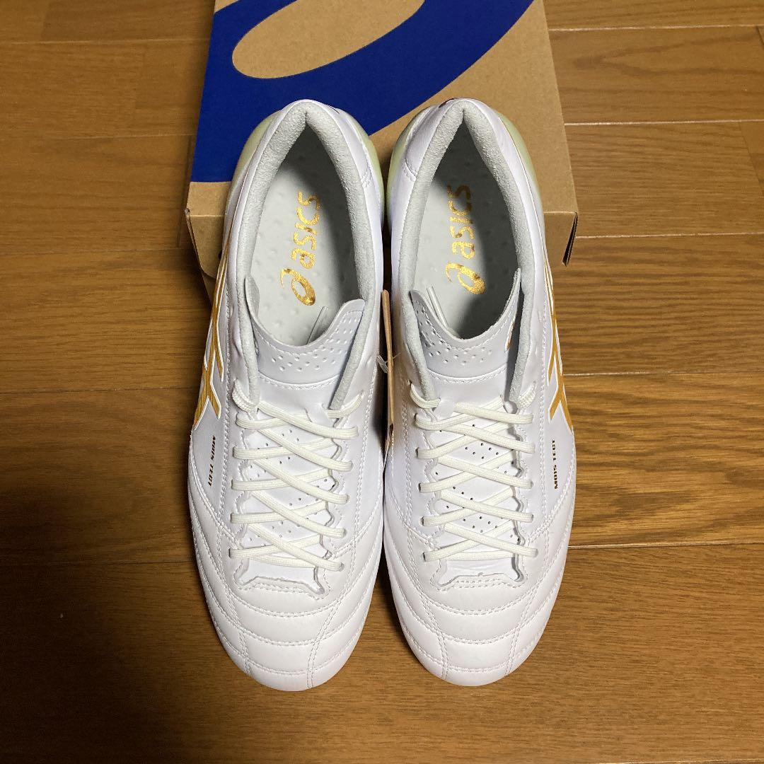 ASICS DS LIGHT X-FLY4 25.0cm ホワイト