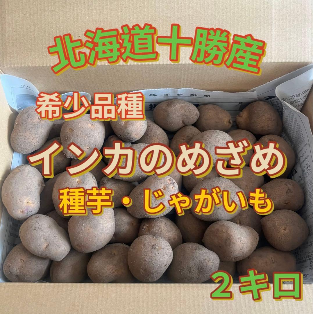 北海道十勝産 インカのめざめ 種芋 2キロ 【希少品・無農薬栽培