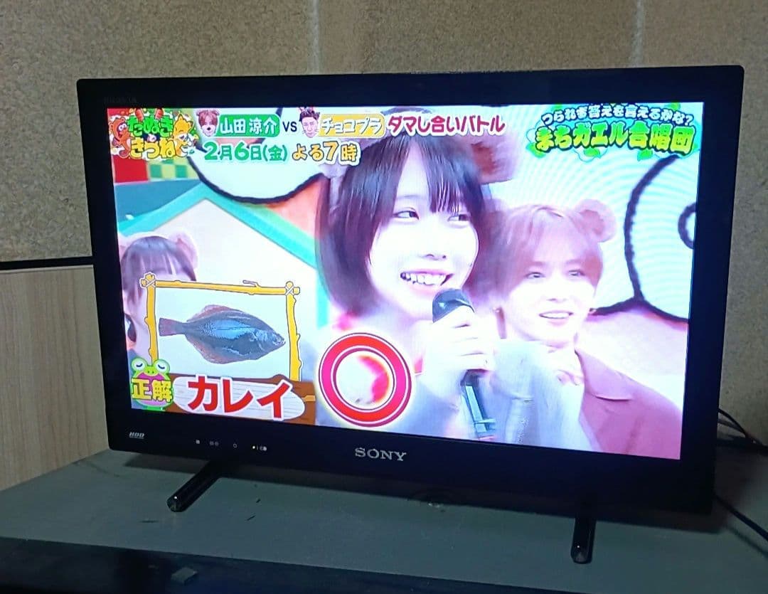 SONY BRAVIA KDL-22EX42H 22インチ液晶テレビ HDD内蔵 - メルカリ