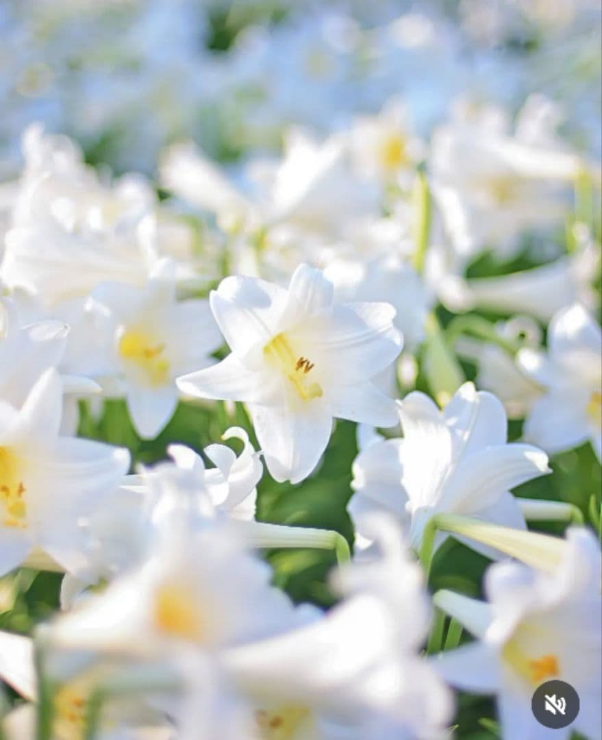 TAMRON　18-400mm　F3.5-6.3 Fマウント　レンズ