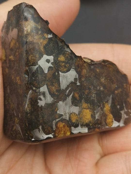 セリコ隕石 パラサイト隕石 ケニア 標本 121.5g no.P-K49901