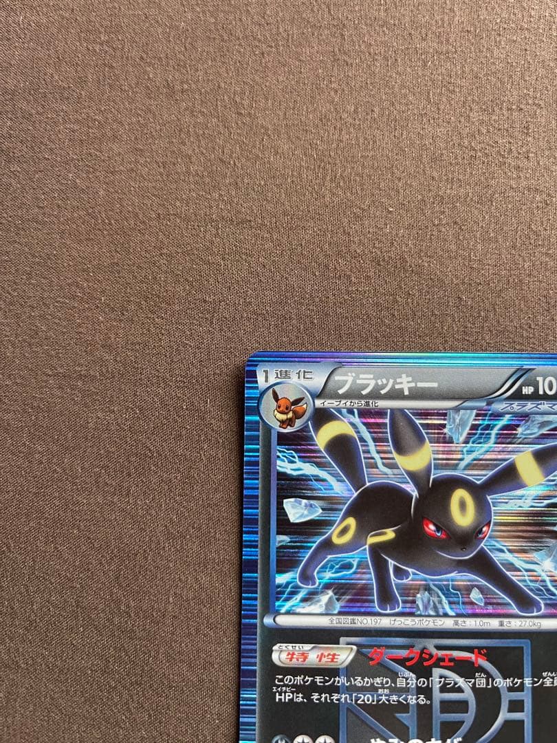 期間限定価格‼️早い者勝ち‼️ブラッキー R BW8 ライデンナックル