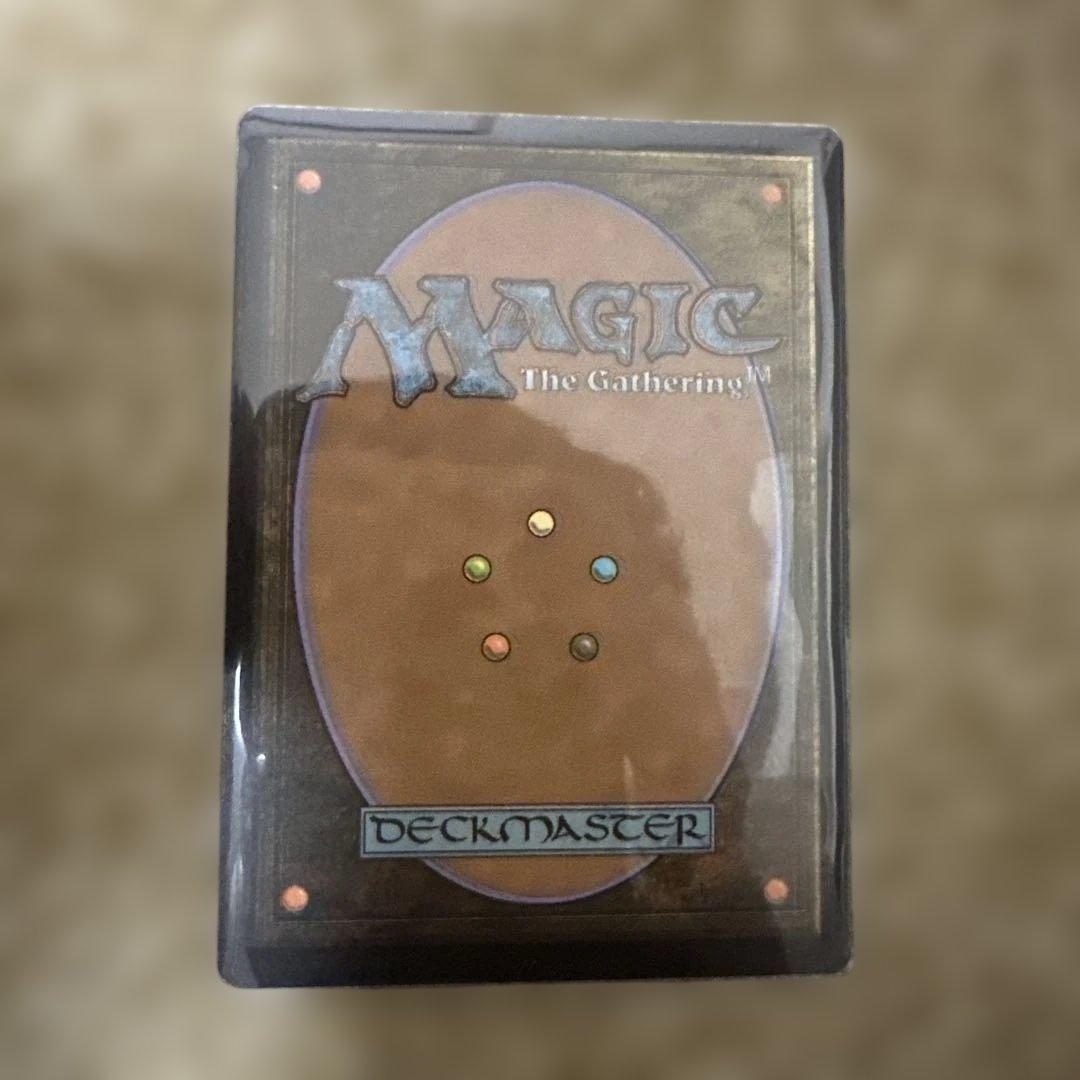 MTG FOIL 霧深い雨林 - メルカリ