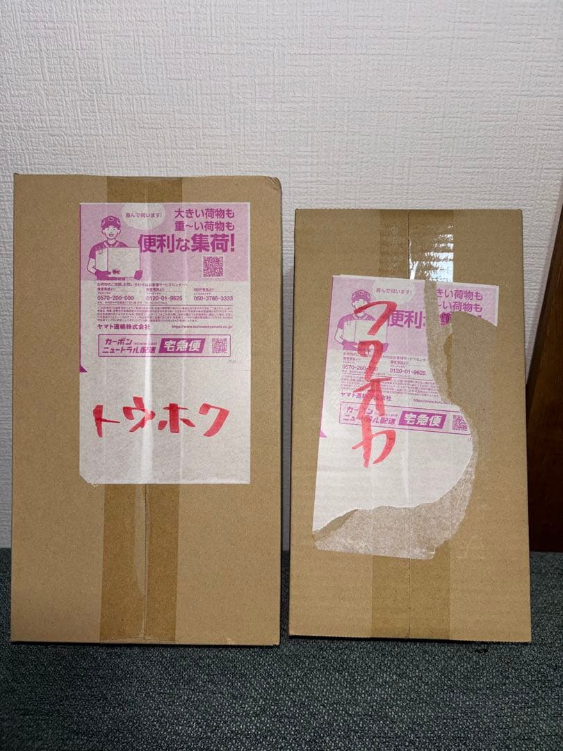 新品未開封！ポケセンスペシャルBOX トウホク、フクオカ2つセット