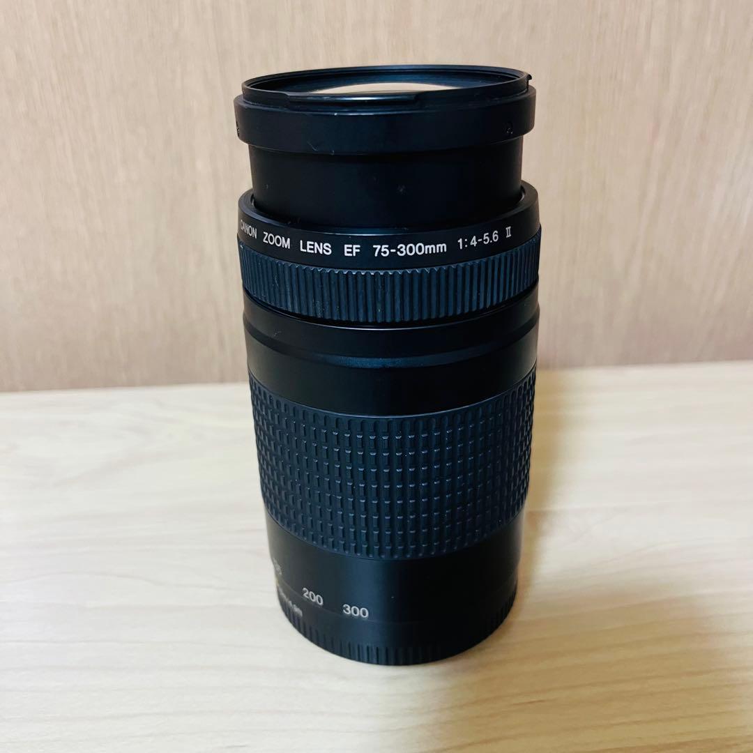 Canon EF 75-300mm f/4-5.6 ズームレンズ ①
