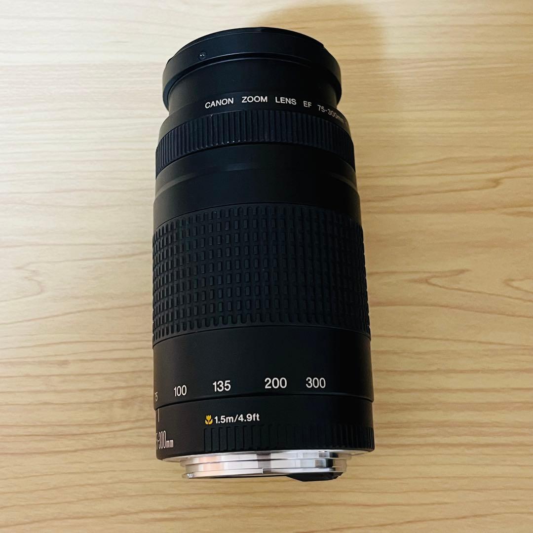 Canon EF 75-300mm f/4-5.6 ズームレンズ ①