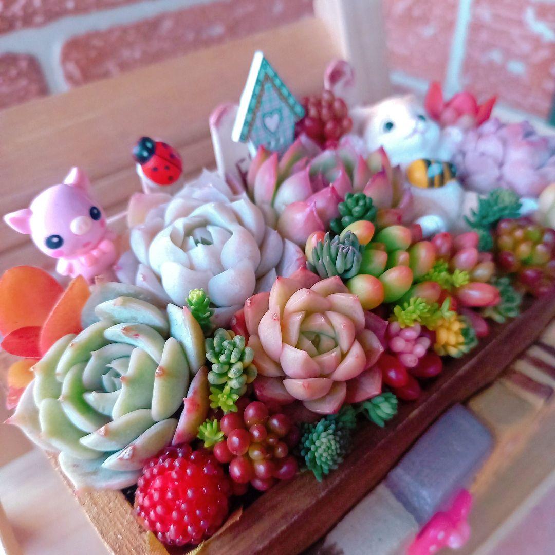 ❤️多肉植物❤️そのまま飾れる寄せ植え❤️ねこちゃん~❤️ - メルカリ