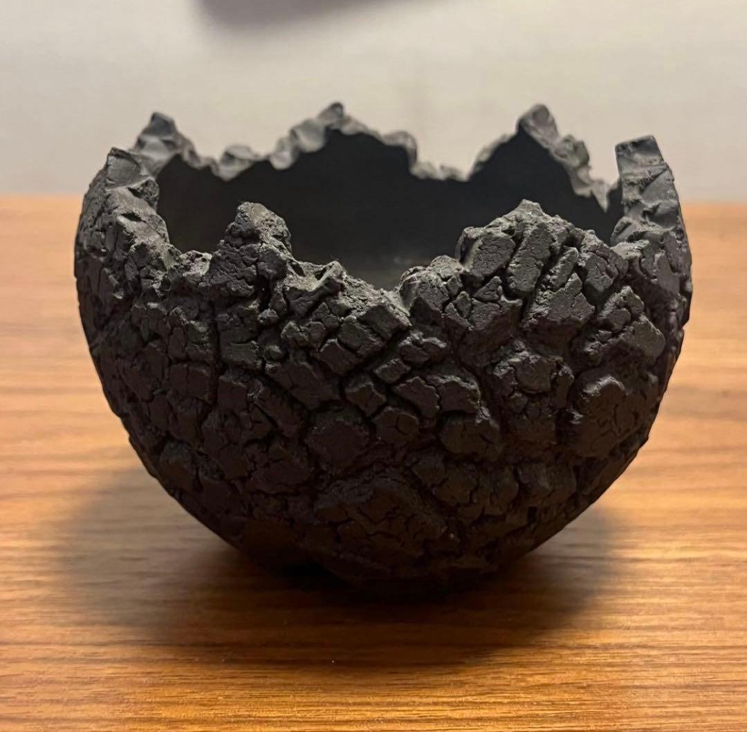 konect コネクト fang ファング 鉢 ブラック S XS 植木鉢 - メルカリ