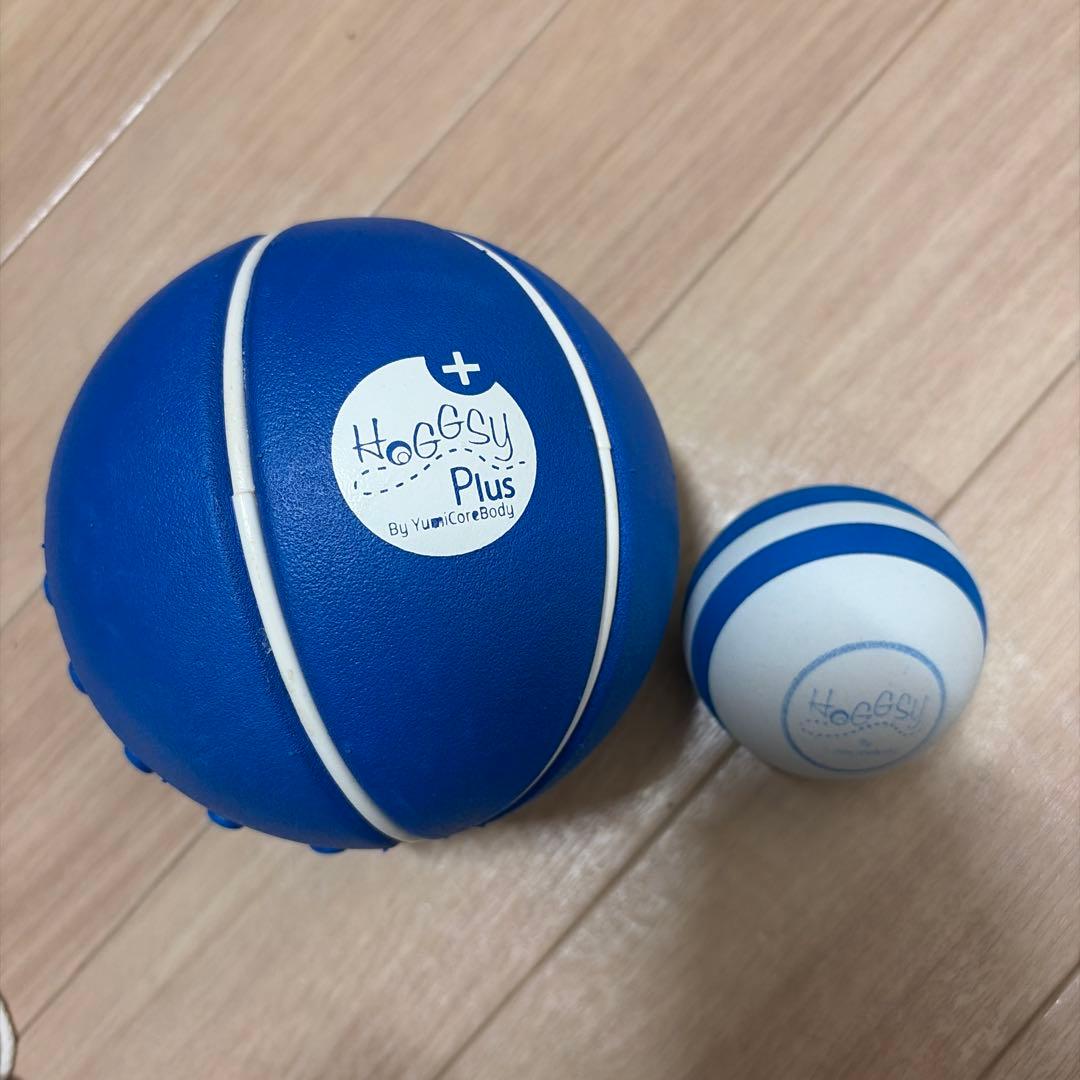 Hoggy Plus ホグッシーセット　ユミコア　ホグッシープラス Hogssy Plus – YumiCoreBodySHOP