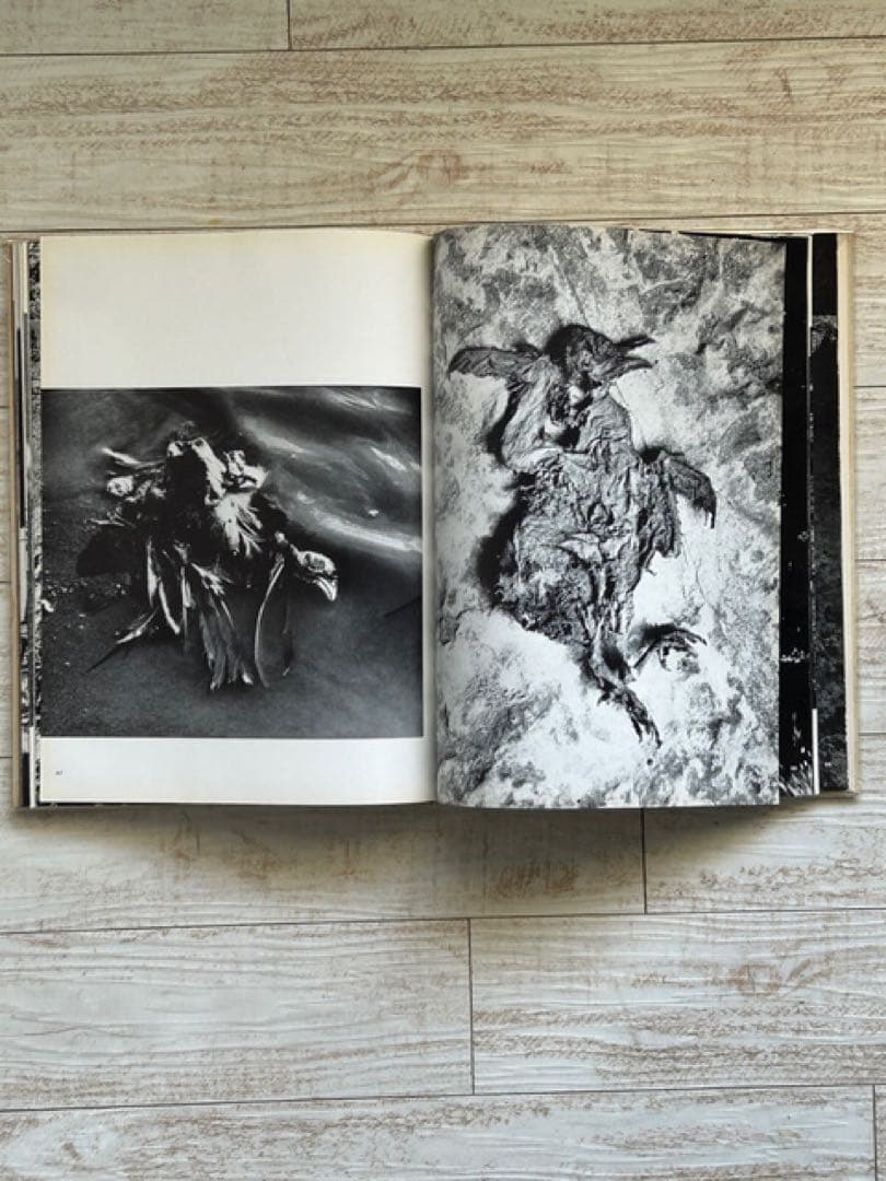 Lucien Clergue　ルシアン・クレルグ　写真集　ピカソ