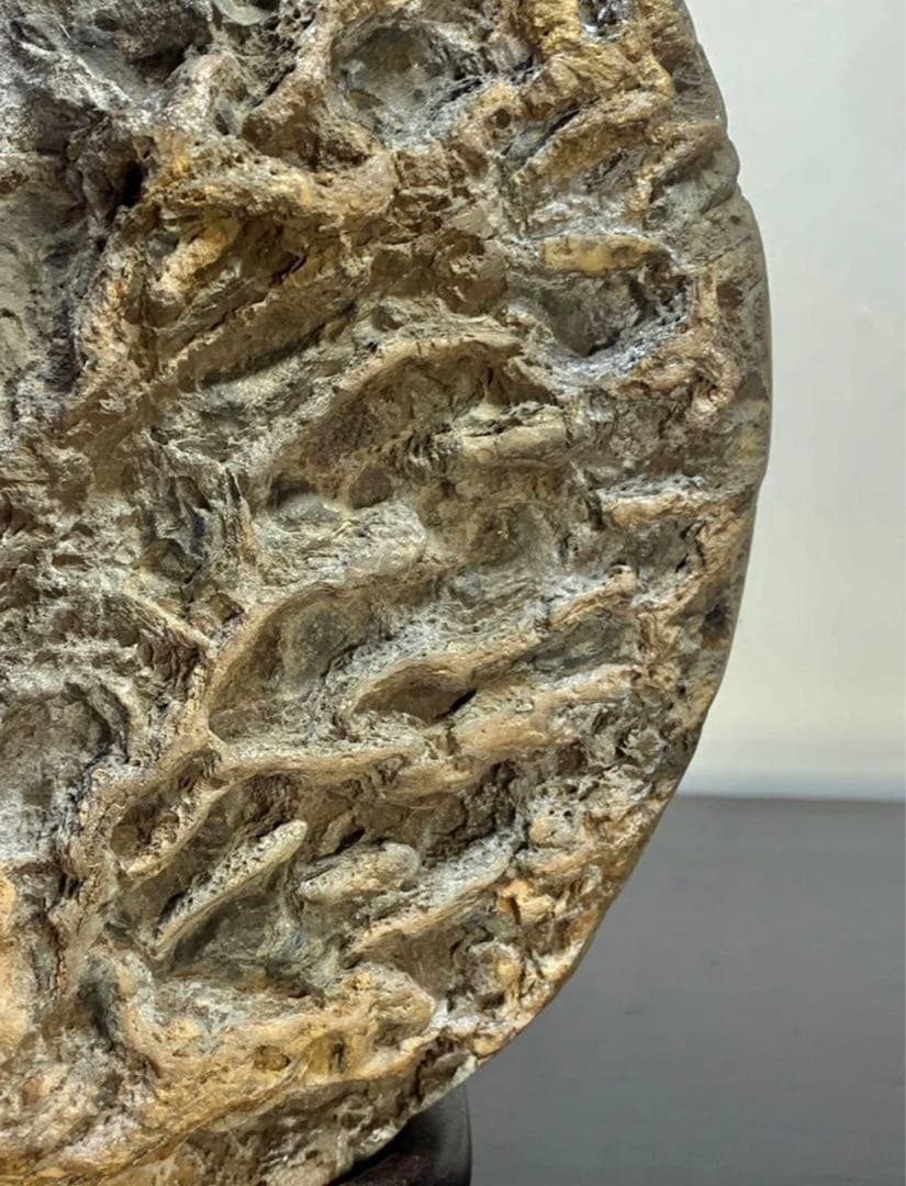 4190 メロン馬蹄石 盆栽骨董盆石鑑賞石観賞石中国古玩古美術太湖石山