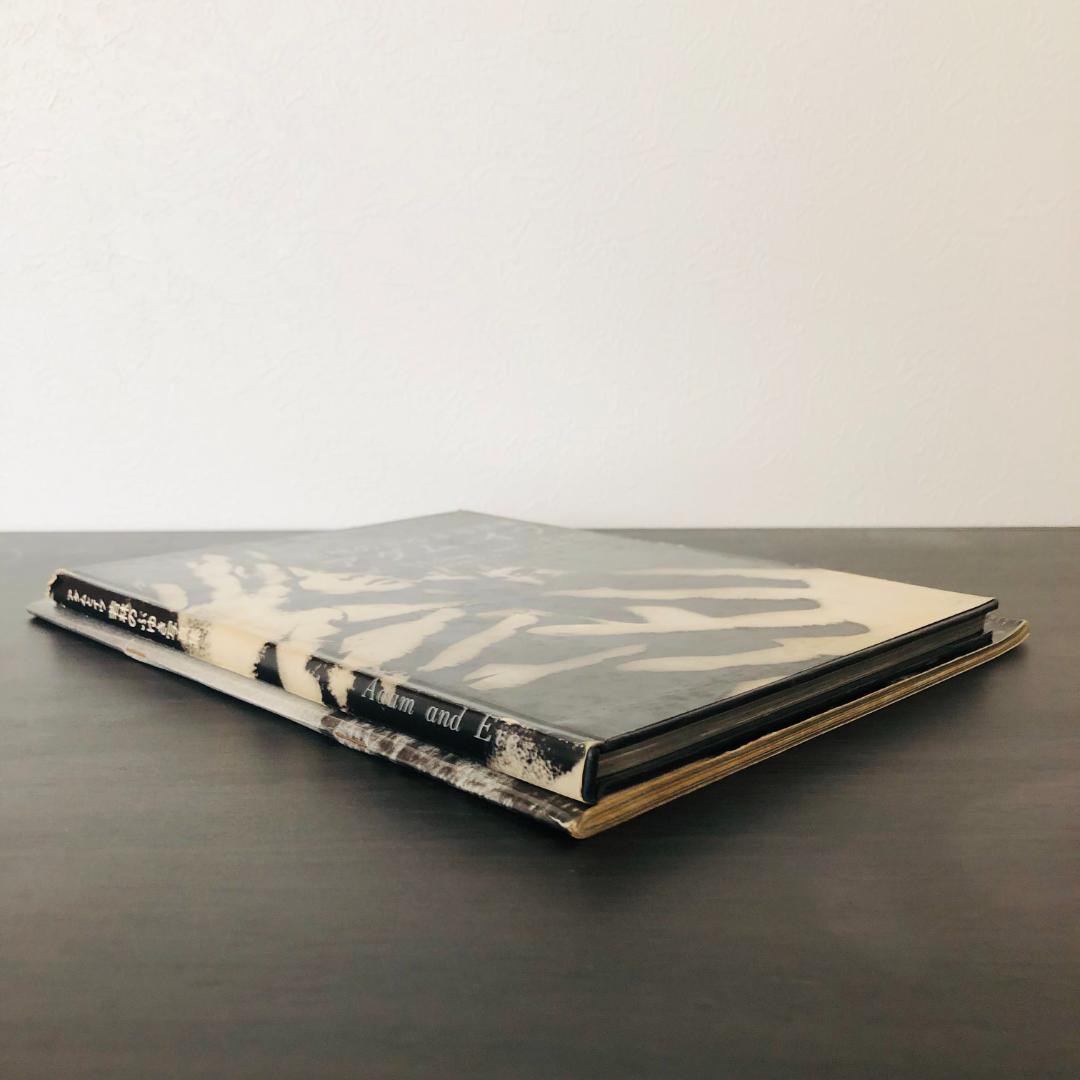 若林のぶゆき 写真集 セット アッ とびだした女たち アダムとイヴ