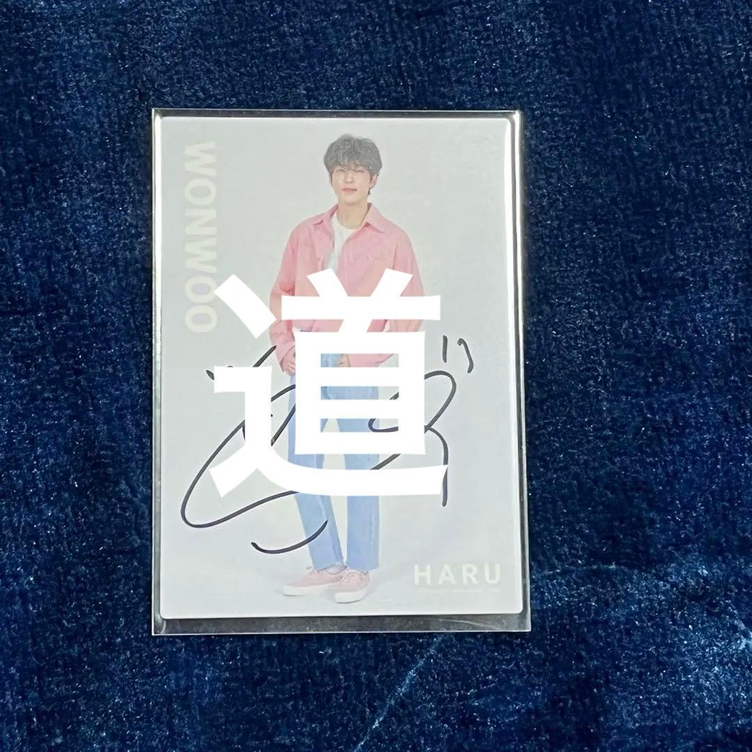 少年記 甘い暴力 purple stone Gimmick 入場特典CD