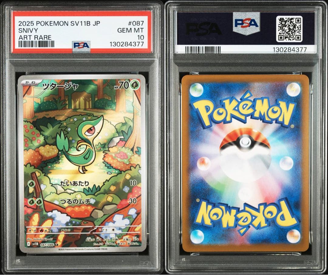 PSA10 3連番 御三家 ツタージャ ポカブ ミジュマル AR ブラホワ