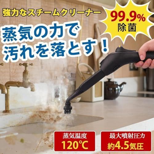 スチームクリーナー、21ピースアクセサリーセット付き多目的スチーム