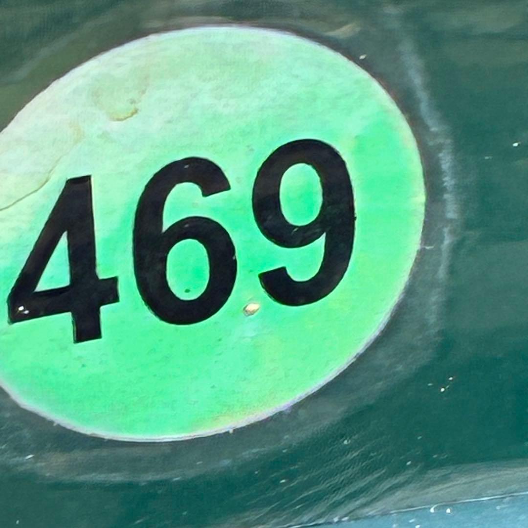 i*u様 ☘️ラスト☘️根充実❤️プックリ新芽❤️469⭐️極上レア⭐️パステル