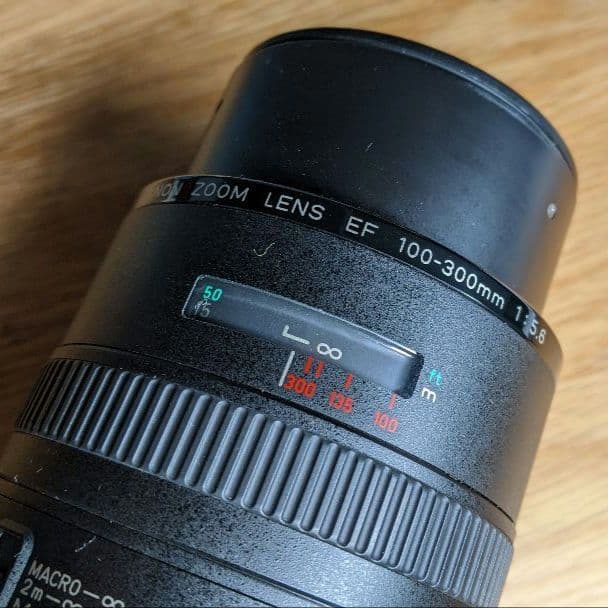 CANON EF 100-300mm 望遠レンズ - メルカリ