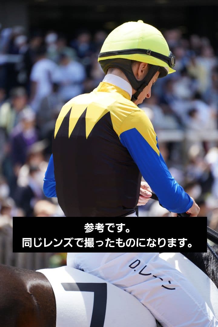 TAMRON タムロン 70-300mm F/4.5-6.3　Eマウント