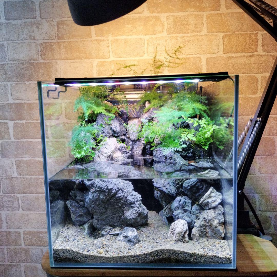 Bon様】アクアテラリウム完成品 テラリウム パルダリウム 滝の流れる